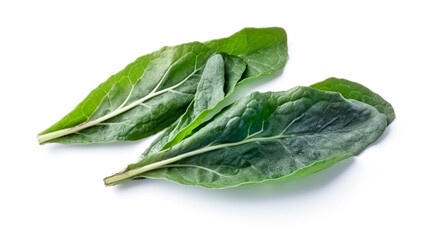 Fototapeta premium spinachs. Fresh vegetables isolated on white background. Healthy food concept. Generative AI