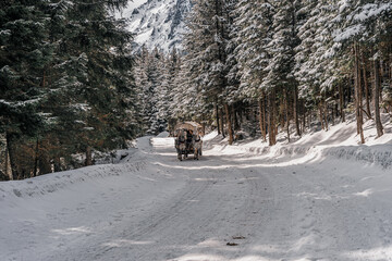 Droga w górach, szlak w Tatrach Polskich do Morskiego Oka w zimie. Tatrzański Park Narodowy