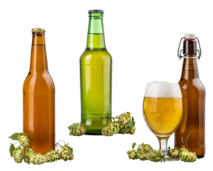 Glass and bottle of fresh beer