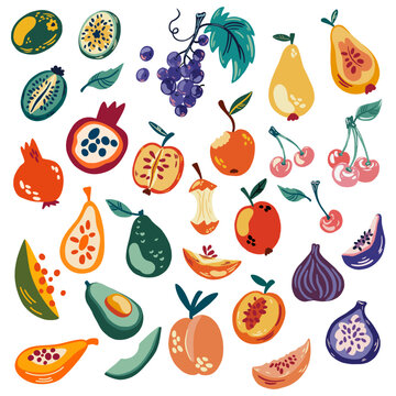 Fruits collection. Set of various tropical, ripe, juicy fruits. Healthy food, vitamins. Perfect for printing, shops, cafes, restaurants, menus and applications. Vector illustration isolated