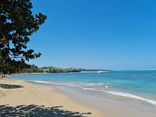 Palms and beach in Dominican Republic