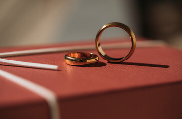 Wedding rings. Love concept. Sensual. Wedding. Bride. Golden rings. 