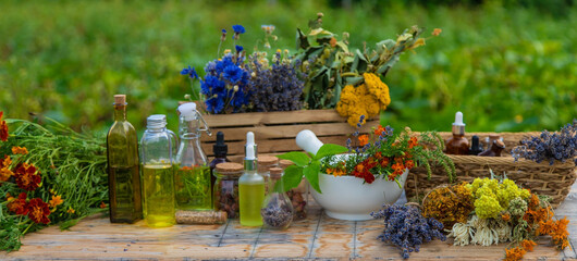 Fototapeta na wymiar Medicinal herbs and natural tinctures. Selective focus.