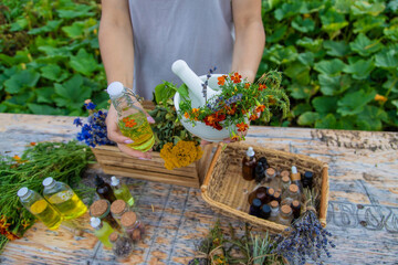 Medicinal herbs and natural tinctures. Selective focus.