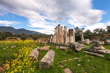 Nysa Ancient City history BC. It is based on the 3rd century. It was built by I. Antiochos Soter and was founded in the name of his wife Nysa.