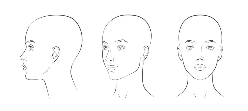 Bald hairless head. Head guidelines for barbershop, haircut salon. Male head in different angles. Woman face front, profile, three-quarter view. Vector realistic line sketch illustration