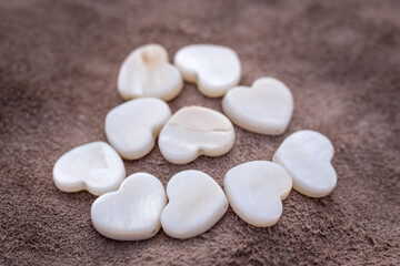 Natural shells are an excellent material for carving. From time immemorial, people have learned to carve various ornaments from this material.