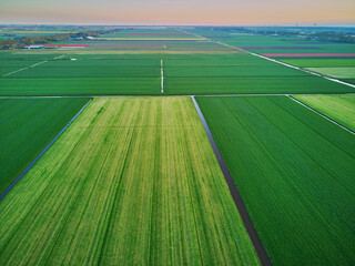 Aerial drone view of typical Dutch fields and polders