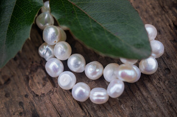 Natural freshwater pearls of various shapes and colors are photographed on a wooden board 