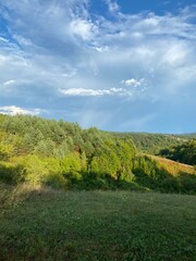 Obraz premium landscape with trees