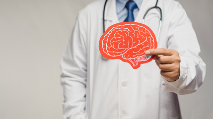 Doctor holding a brain symbol made from red paper while standing in the hospital - obrazy, fototapety, plakaty