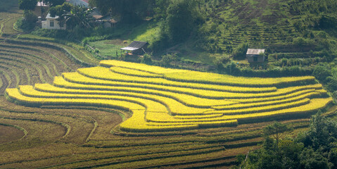 Admire the beautiful terraced fields in Y Ty commune, Bat Xat district, Lao Cai province northwest...