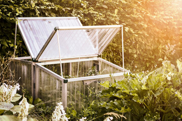 Mini Greenhouse in Garden for Grow Seedlings. Grow your own Garden at Home. Growing Vegetables,...