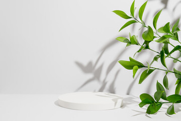 Empty white round podium, natural branches and green leaves with shadows on grey background....