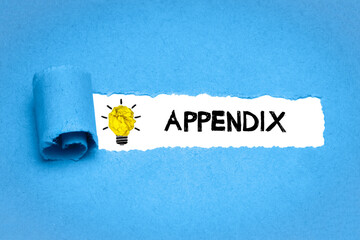 Appendix	