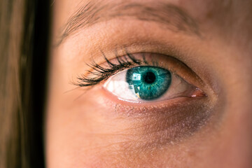 Obraz premium Macro close up of blue woman's eye