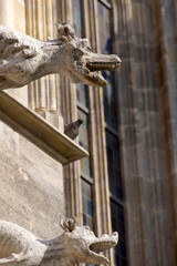 Vienna (Austria). Gargoyles on the outside of St. Stephen's Cathedral in the historic city center of Vienna