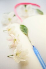 Open book with blank sheets and a pen in apple blossoms around. Inspiration concept to create or write in spring mood.