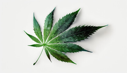 Cannabis leave isolated on white background. Generative AI