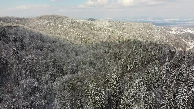 Flying Over A Mountain Forest Covered By Snow With White Clouds In The Distance