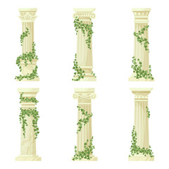 Ivy-covered classic columns vector set. Cartoon greek antique roman pillars with climbing ivy branches isolated flat vector illustration collection