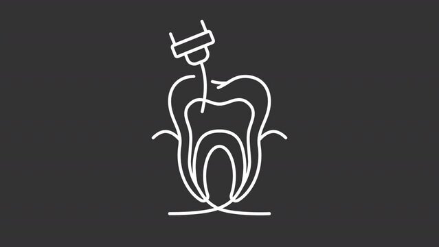 Animated endodontics white line icon. Dental pulp treatment. Loop HD video with chroma key, alpha channel on transparent background, black solid background. Outline motion graphic animation