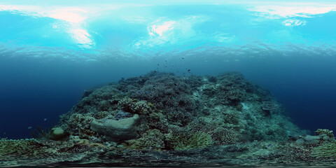 Fototapeta na wymiar Blue Sea Water and Tropical Fish. Tropical underwater sea fish. Philippines. Virtual Reality 360.