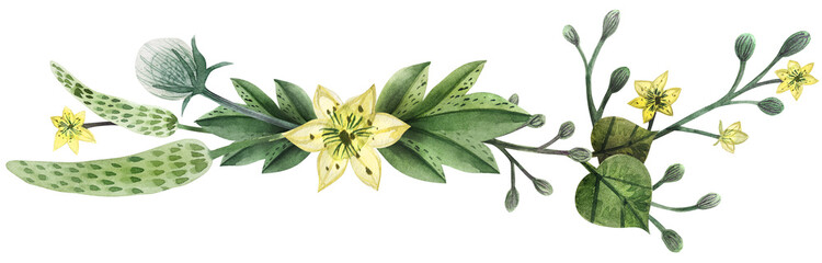 Seamless pattern with papaver poppy flowers