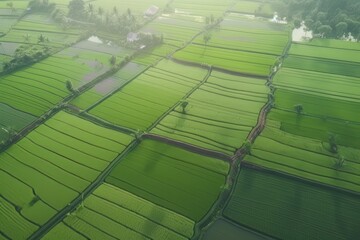 Fields on Bali. Shooting from dron. Generative ai