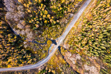 Drone view to a dirt road, river, car. Autumn forest.