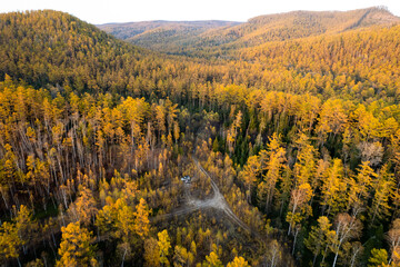 Car camping in autumn forest. Drone wiev
