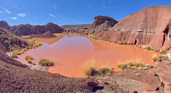 A marshy watering hole called Tiponi Flats, Petrified Forest National Park, Arizona