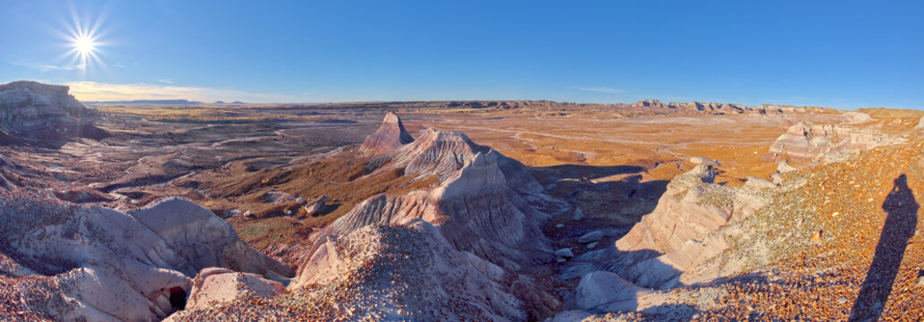 View of the Blue Forest plains from the lower part of Blue Mesa in Petrified Forest National Park, Arizona