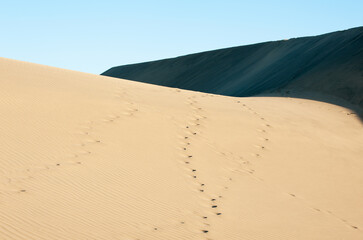 Maspalomas Dunes in Gran Canaria, Spain