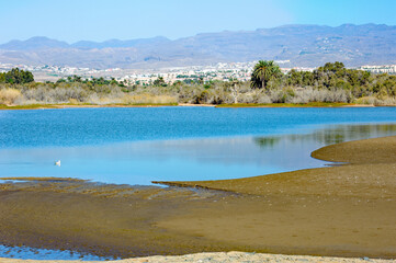 Brackish lagoon, Gran Canary, Spain