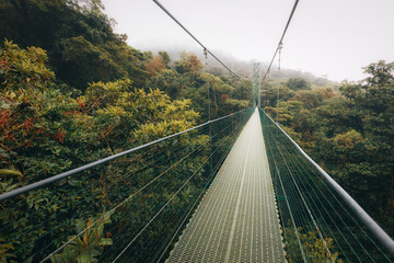 Hanging bridge in Monteverde Cloud Forest - Costa Rica