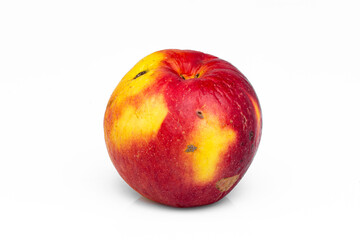 apple isolated on white background