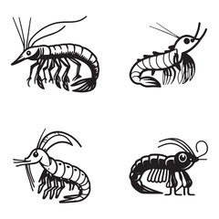 Shrimp vector, shrimp hand drawn sketch black outline vector
