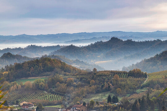 Hills and vineyards of the Langhe, UNESCO World Heritage Site, on an autumn day, Alba, Langhe, Cuneo district, Piedmont