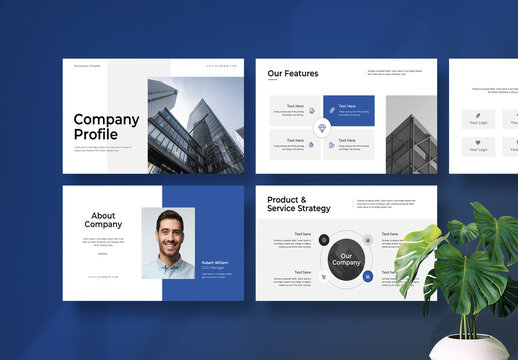 Company Profile