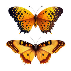 Fototapeta premium Set of beautiful yellow butterflie with color transitions isolated on a transparent background.