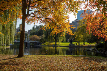 Autumn in Boston's Public Garden, Boston, Massachusetts, New England