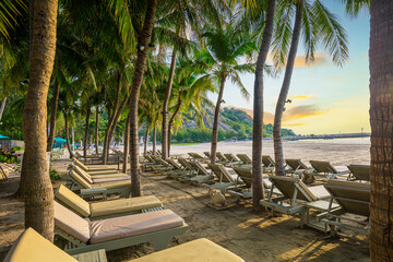 beach seats,Beautiful landscape with large green palm trees in the foreground against the...