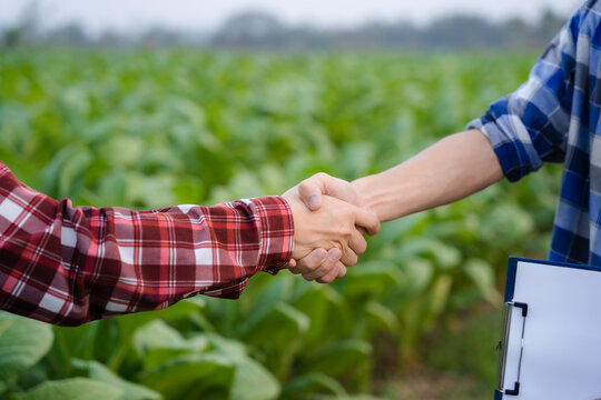 Asian farmers shake hands after successful business cooperation.