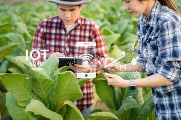 Agriculturist asian utilize the core data network in the Internet from the tablet to validate, test, and select the new crop method.