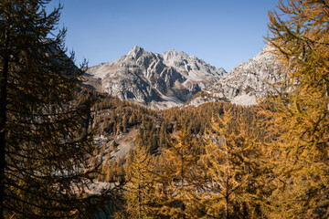 The forest and mountain peaks in the Alpe Devero, Northern Italy, during autumn