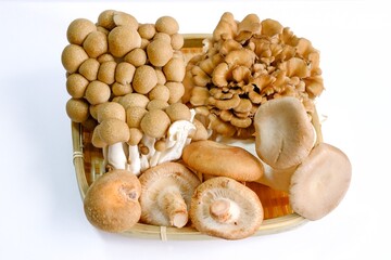 キノコの盛り合わせ