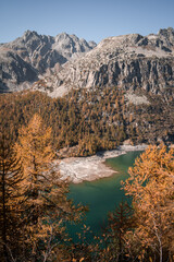 Fototapeta na wymiar Aerial view of the shore of Devero Lake, in the Northern Italy, during autumn