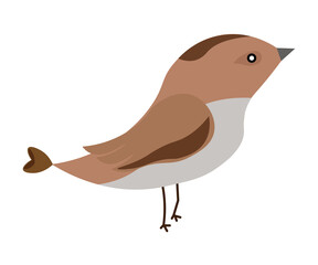 national pet month cartoon illustration