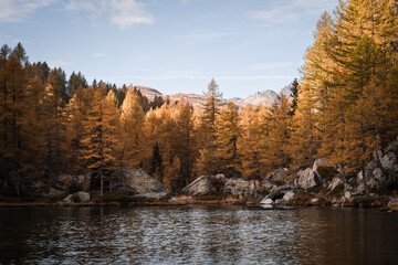Beautiful morning light in a small alpine lake hidden in the forest of Alpe Devero, Northern Italy, during fall